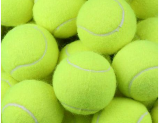 Feed Buddy Tennis Balls