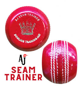 AJ Seam Trainer Cricket Ball