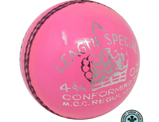 *PRE-ORDER* AJ League Special Grade A Cricket Ball (5.5 & 4.75ozs) <br> <span style='color:grey'>RRP: <span style='color:red;text-decoration:line-through'> <span style='color:grey'>£7.00</span> </span>