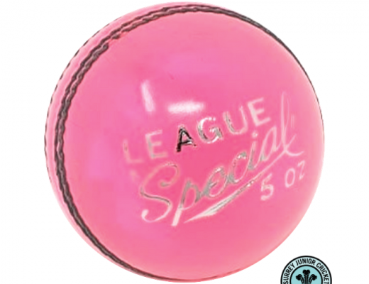 *PRE-ORDER* AJ League Special Grade A Cricket Ball Womens (5ozs) <br> <span style='color:grey'>RRP: <span style='color:red;text-decoration:line-through'> <span style='color:grey'>£7.00</span> </span>